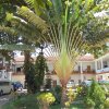 Batticaloa_Fort