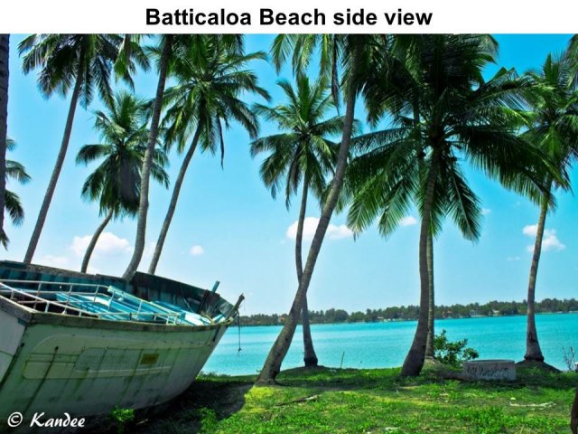 Beaches