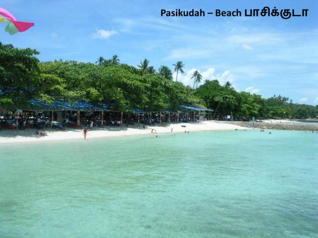 Beaches