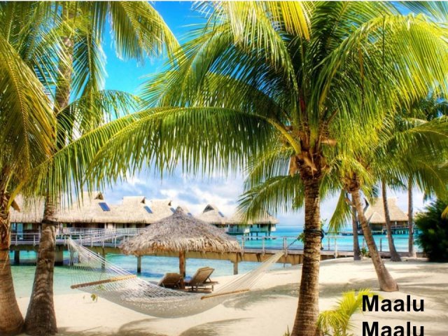 Hotels