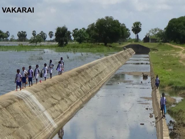 Irrigation-Bridges