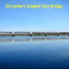 Irrigation-Bridges