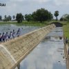 Irrigation-Bridges