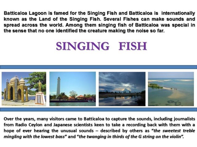 Lagoon