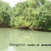 Lagoon