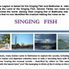 Lagoon