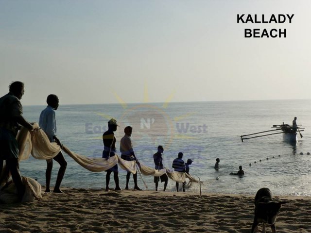 Livelihood