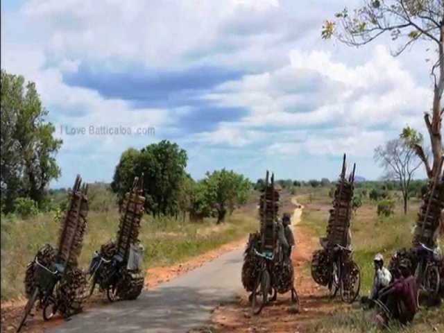 Livelihood