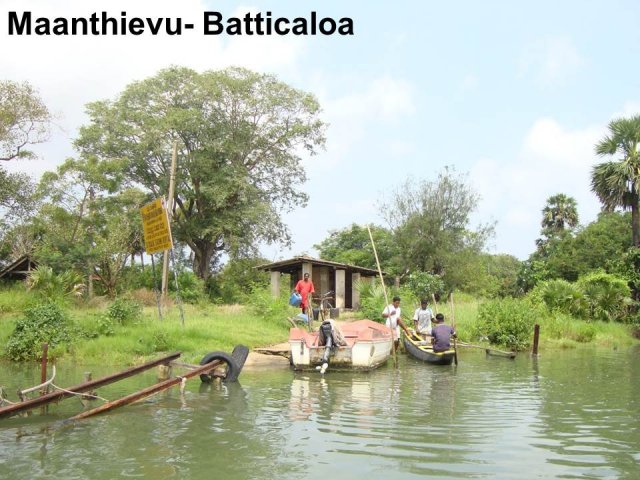 Livelihood
