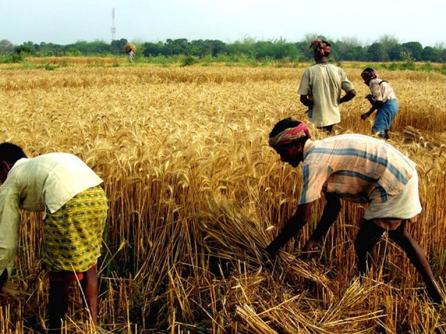 Livelihood