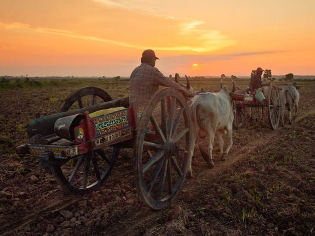 Livelihood