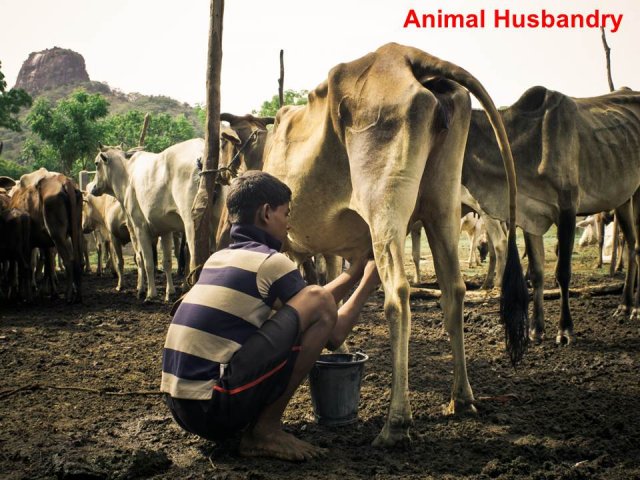 Livelihood