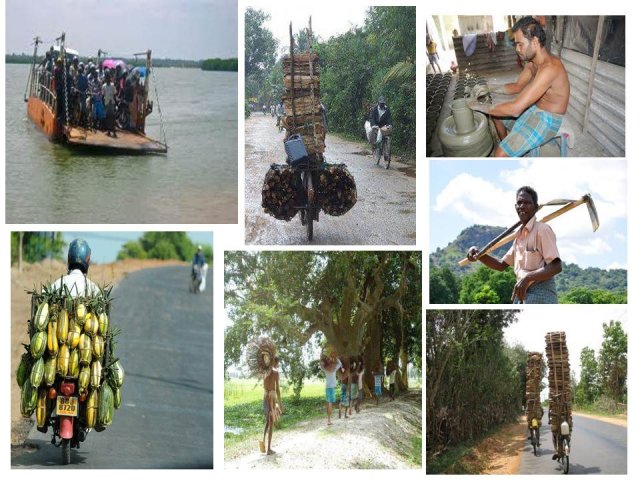 Livelihood