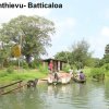 Livelihood