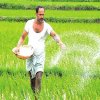 Livelihood