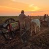 Livelihood