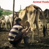 Livelihood