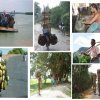 Livelihood