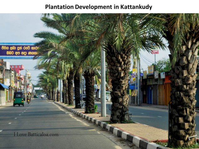 Beauty_in_Batticaloa