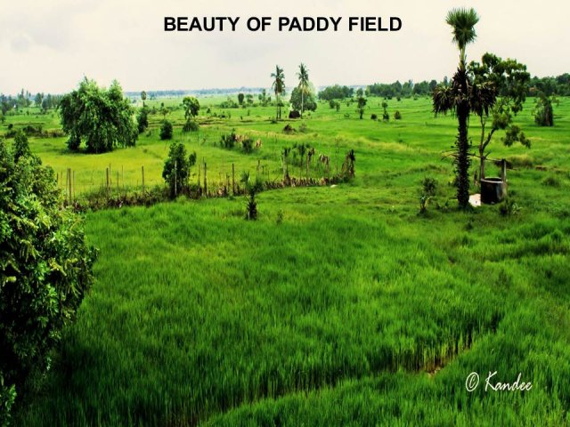 Beauty_in_Batticaloa