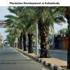 Beauty_in_Batticaloa