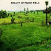Beauty_in_Batticaloa